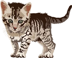 Tabby Kitten Illustration.png PNG Image