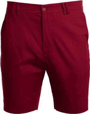 Tabs Mens Poinsettia Red Cotton Bermuda Shorts'Class= - Bermuda Shorts, HD Png Download PNG image with transparent background