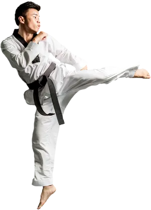 Taekwondo Black Belt Kick Action PNG Image