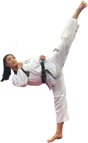 Taekwondo High Kick Demonstration.png PNG Image