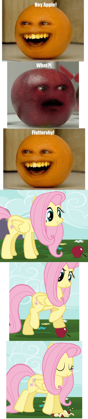 My Little Pony - Annoying Orange My Little Pony Crossover, HD Png Download PNG image with transparent background