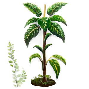 Tall Leafy Plant Png 06282024 PNG Image