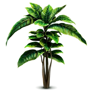 Tall Leafy Plant Png 61 PNG Image