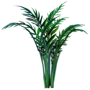 Tall Plant A PNG Image