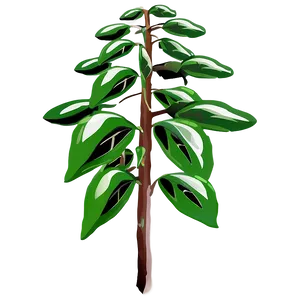 Tall Plant Clipart Png Ihs PNG Image