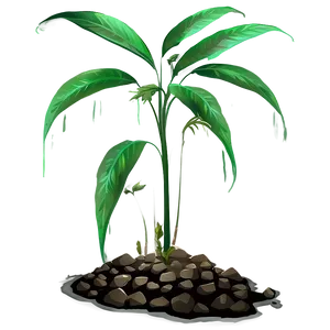 Tall Plant Clipart Png Ydj91 PNG Image