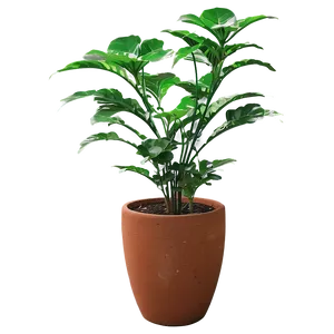 Tall Plant In Pot Png 42 PNG Image