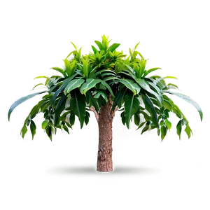 Tall Plant Png 06282024 PNG Image