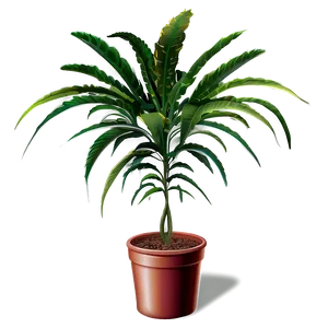 Tall Plant Png 20 PNG Image