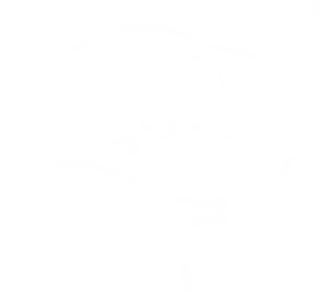 Tampa Bay Buccaneers Logo PNG Image