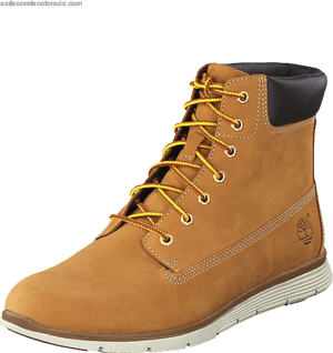 Women's Timberland Killington 6 In Boot Wheat Nubuck - Work Boots, HD Png Download PNG image with transparent background