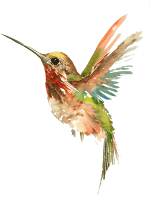 Tattoo Flying Watercolor Painting Bird Hummingbird - Cool Watercolor Hummingbird Tattoo, HD Png Download PNG image with transparent background