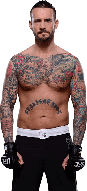Cm Punk Wwe World Heavyweight Champion, HD Png Download PNG image with transparent background