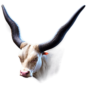 Taurus Zodiac Sign PNG 06112024 PNG image with transparent background