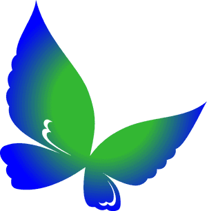 Teal Butterfly Clipart, HD Png Download PNG image with transparent background