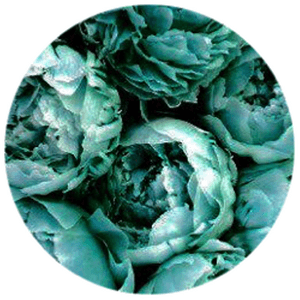 Tumblr Green Background - Green Tumblr Circle Transparent, HD Png Download PNG image with transparent background