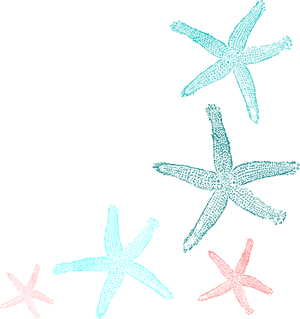 Teal Starfish, HD Png Download PNG image with transparent background