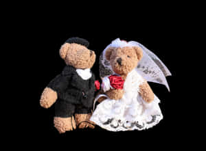 Teddy Bear Wedding Couple Black Background PNG image with transparent background