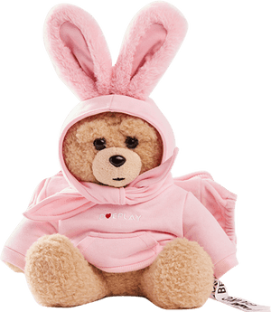 Teddy Bearin Bunny Hoodie PNG image with transparent background