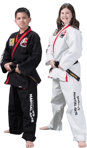Martial Arts And Karate Classes For Teens Southlake - Karate, HD Png Download PNG with transparent background