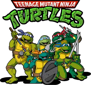 Teenage Mutant Ninja Turtles Group Pose PNG Image