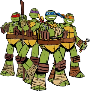 Teenage Mutant Ninja Turtles Group Pose PNG Image