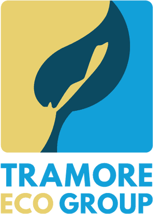 Teg Portrait - Graphic Design, HD Png Download PNG image with transparent background