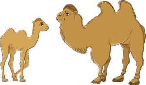 Temee - Arabian Camel, HD Png Download PNG image with transparent background