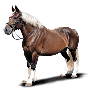 Tennessee Walking Horse Png Nof44 PNG Image