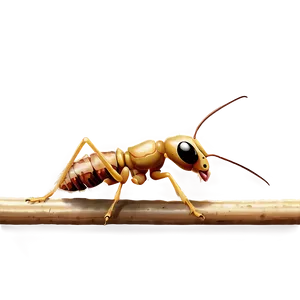 Termite C PNG Image