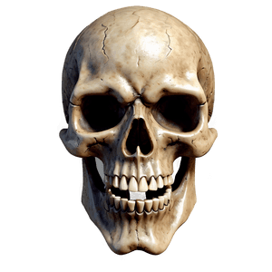 Terrifying Skull Emblem PNG 05062024 PNG image with transparent background