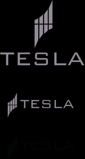Tesla Logo Variations PNG