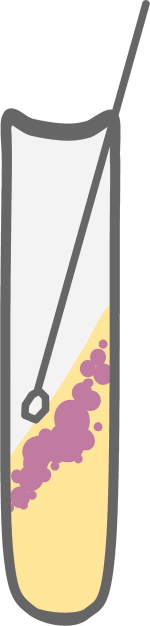 Bacterial Culture Tube Clip Arts - Test Tube Clipart Bacteria, HD Png Download PNG with transparent background