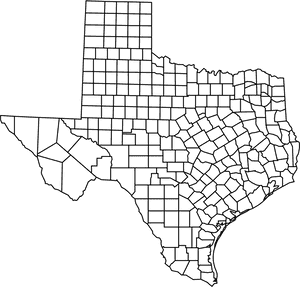 Transparent Texas State Outline Png - San Antonio De Valero Location, Png Download PNG