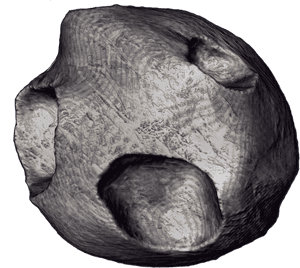 Asteroid , Png Download - Asteroides Para Scratch, Transparent Png PNG image with transparent background