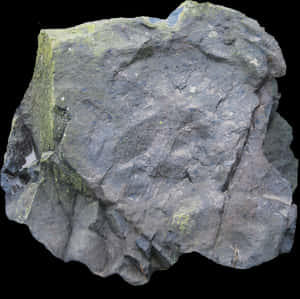 Textured Rock Surface PNG image with transparent background