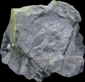 Textured Rock Surfacewith Moss PNG image with transparent background