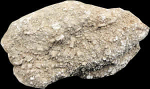 Textured Sedimentary Rock Sample PNG with transparent background