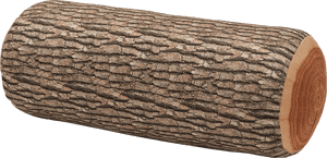 Textured Tree Log Isolated Background PNG with transparent background