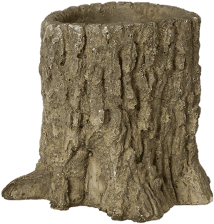 Tree Trunk Decoration - Tree Stump Transparent Background, HD Png Download PNG image with transparent background