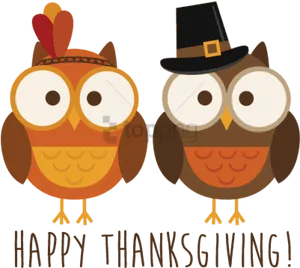 Thanksgiving Owls Celebration PNG Image