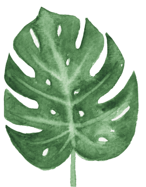 The Green Banana Leaf Watercolor Transparent Buckle - Tropical Watercolor Leaves Png, Png Download PNG image with transparent background