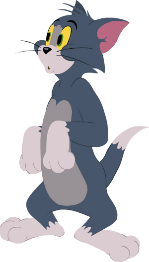 The Tom And Jerry Show Wiki - Tom And Jerry Show Tom, HD Png Download PNG image with transparent background
