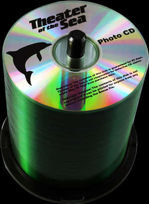 Bulk Cds With Full-color Digital - Cd, HD Png Download PNG