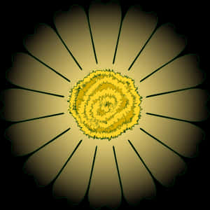 This Free Icons Png Design Of Flower Daisy 16 Petal - Flower With 16 Petals, Transparent Png PNG image with transparent background