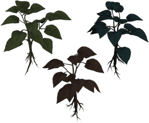 Download Zip Archive - Resident Evil Ps1 Green Herb, HD Png Download PNG with transparent background