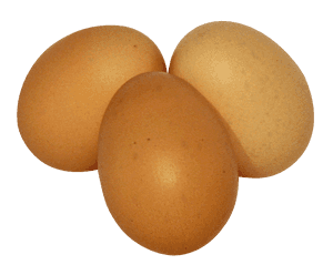 Three Brown Eggson Gray Background PNG image with transparent background
