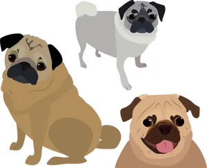 Three Cartoon Pugs Illustration PNG Image