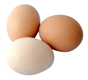 Three Fresh Eggs Isolated PNG Image