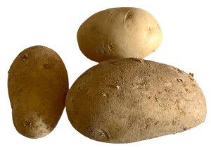 Three Fresh Potatoes PNG Image